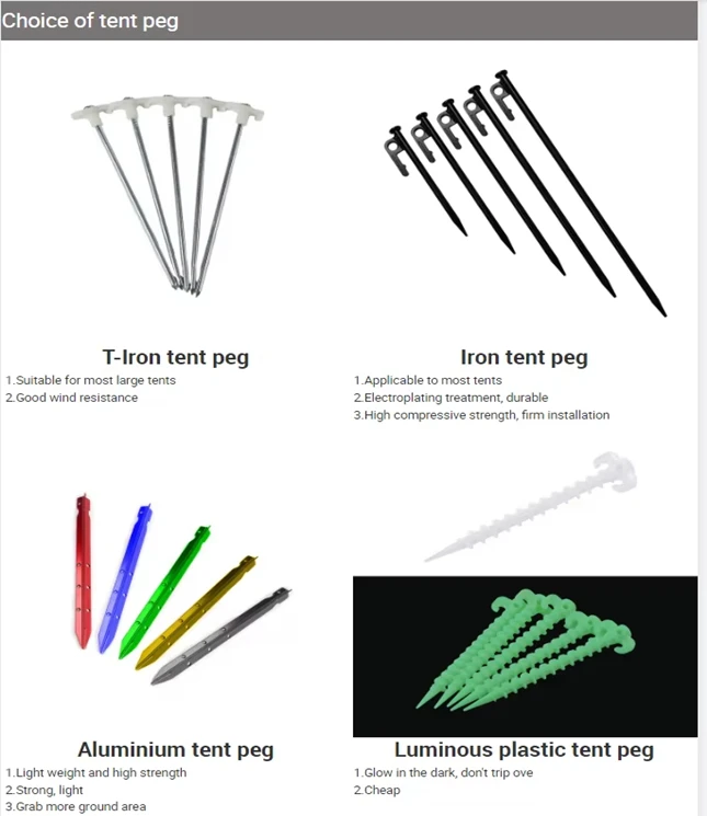 1750910081508 1750910081508